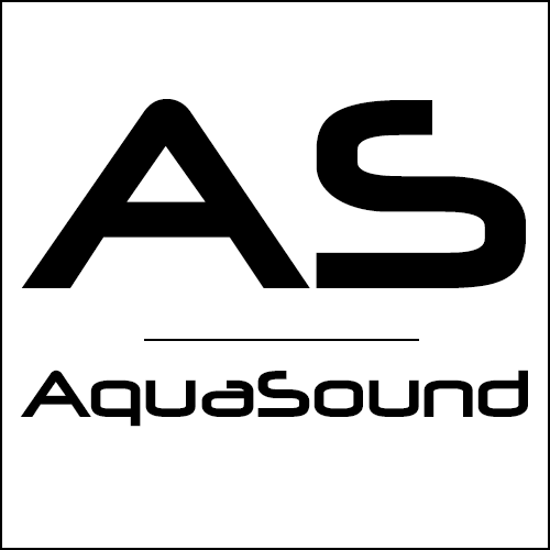 Hotel Bluetooth Speakers